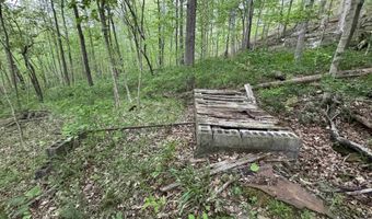 7046 S State Road 145, Birdseye, IN 47513