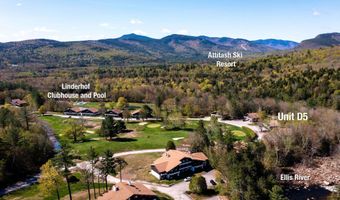46 Linderhof Golf Course Rd D5, Bartlett, NH 03838