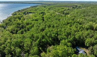 9707 ROGERS Rd, Alanson, MI 49706