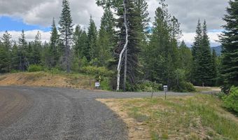 23 Sawtooth Loop, Cascade, ID 83611