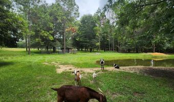 786 Blackberry Rd, Baconton, GA 31716
