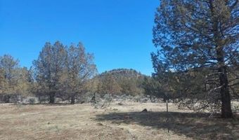 Lot 35 Blk 24 MRE Tiger Lane, Alturas, CA 96101