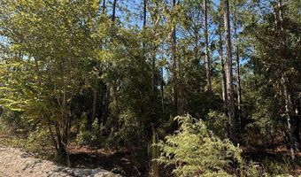 Lot 10 16th Ave, Bell, FL 32619