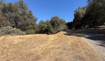 41902 Woodward Way, Ahwahnee, CA 93601