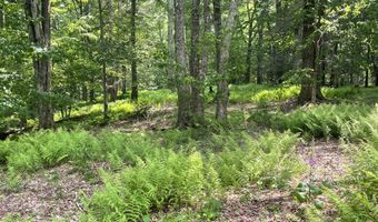 367 Rainbow Hill Rd, Andes, NY 13731