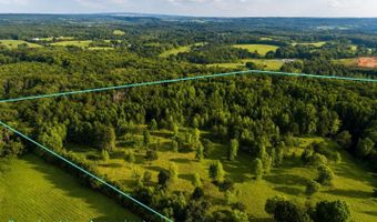 58 Acres Naples Ln, Arab, AL 35016