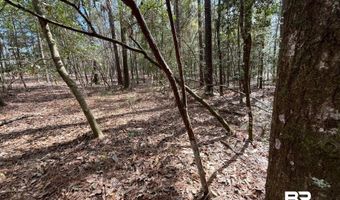 002 Phillipsville Rd, Bay Minette, AL 36507