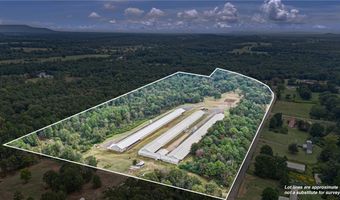 11695 E Old Belleville Rd, Belleville, AR 72824