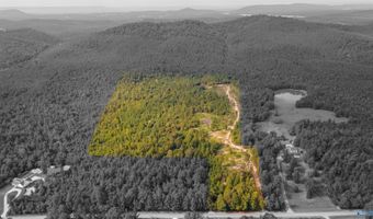 10675 29 Acres Shoal Creek Rd, Ashville, AL 35953