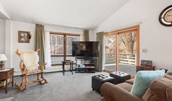 534 And 536 Spruce St 1 And 2, Aspen, CO 81611
