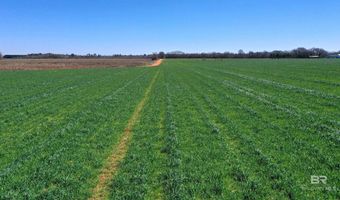 Lot 14 Davis Pond Road, Atmore, AL 36502