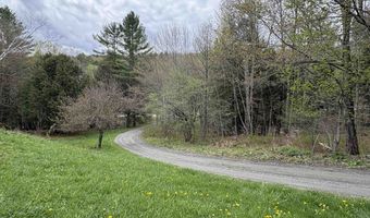1250 Braintree Hill Rd, Braintree, VT 05060