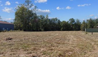 Main St, Bell, FL 32619