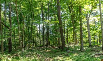 Great Hollow Road, Cornwall, CT 06753