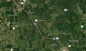 0 County Road 217, Blue Springs, MS 38828