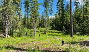 NKA Condor Dr, Clark Fork, ID 83811