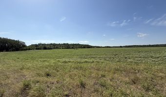 0 W FM 2842, Pottsville, TX 76565