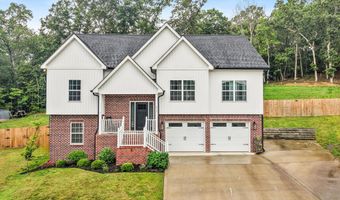 6505 Long Horn St, Birchwood, TN 37308