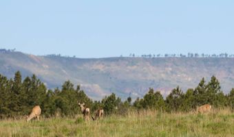 NHN Tongue River Rd, Ashland, MT 59003