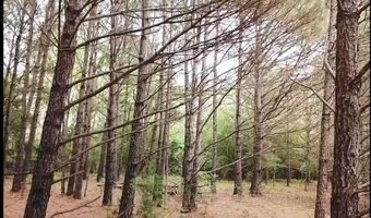 BRUSHY LANE, Arley, AL 35541