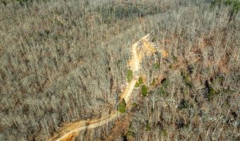 700 Acres Puncheon Creek Ln, Allred, TN 38542