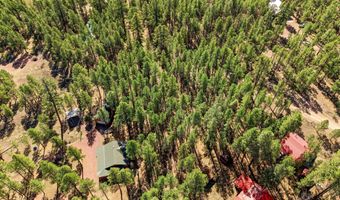 11 County Road 2135, Alpine, AZ 85920