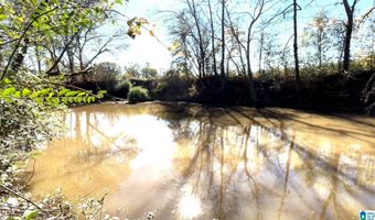 0 CANOE Dr 5.2 Acres - Portion of the Parcel offered on mls, Ashville, AL 35953