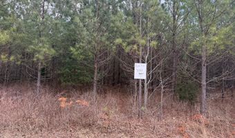 HARDWARE RD lot C1, Arvonia, VA 23004