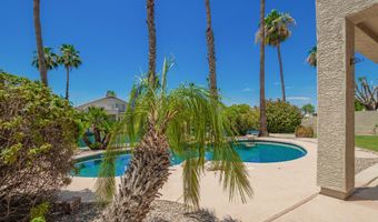 705 W DESERT BROOM Dr, Chandler, AZ 85248
