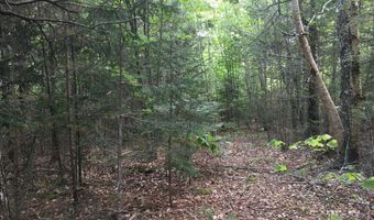 B-2BackLot Pioneer Path, Aurora, ME 04605