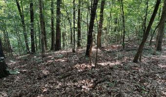 0 County Road 217, Blue Springs, MS 38828