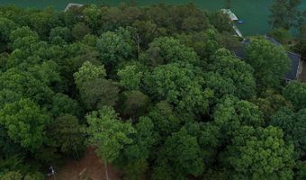 LOT 11 DISMAL ACRES, Arley, AL 35541