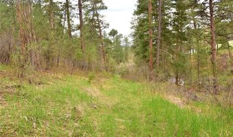 9017 Pine Ave, Beulah, CO 81023