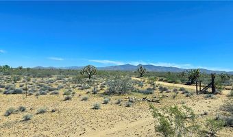 5558 E Red Barrel Rd, Yucca, AZ 86438
