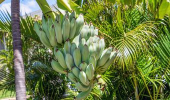 140 UWAPO Rd 39-102, Kihei, HI 96753