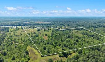 39207 State Highway 59, Bay Minette, AL 36507