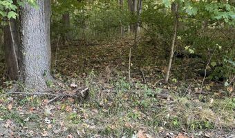 5681 Springhollow Ct, Avon, IN 46123