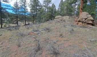 1077 Roland Dr Lot 3, Bailey, CO 80421
