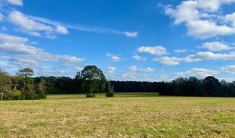 60327 Highway 445, Amite, LA 70422