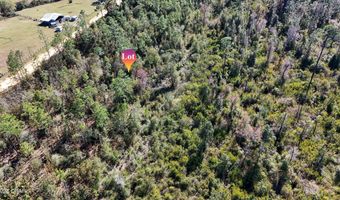 Monogahela Avenue, Alford, FL 32420