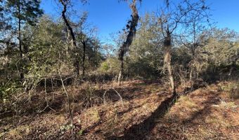 NW Lake McKenzie Rd, Altha, FL 32421
