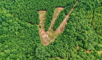 Harry Priddy Road, Americus, GA 31719