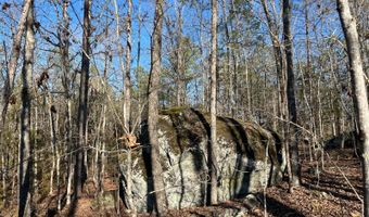 Brookside Drive, Abbeville, SC 29620