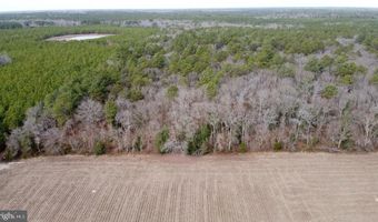 21063 WILSON Rd, Georgetown, DE 19947