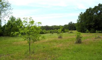 1071 LR 3, Ashdown, AR 71822