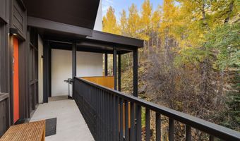800 S Mill St 303C, Aspen, CO 81611
