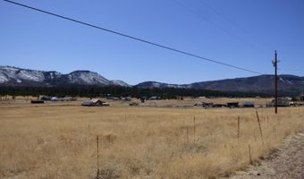 34 County Road 2100, Alpine, AZ 85920