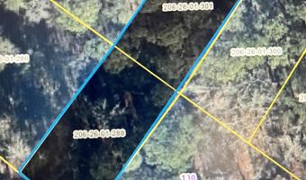 Lake Drive, Leesville, SC 29070