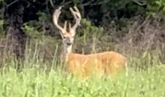 3968 Highway 167, Ash Flat, AR 72513