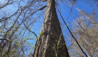 Bogue Chitto Road, Bogue Chitto, MS 39629